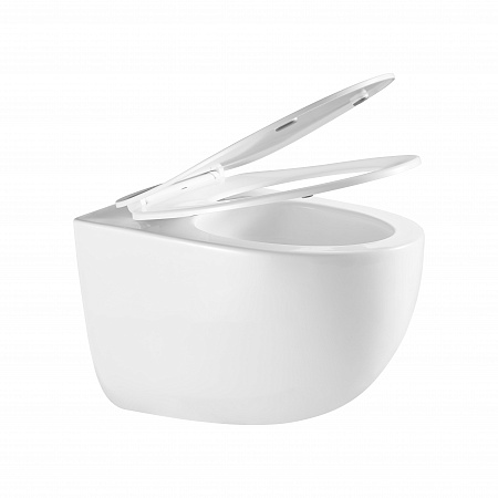 Подвесной унитаз безободковый Terminus Енисей Monolit 560х390 белый Новоалтайск - фото 7 Подвесной унитаз безободковый Terminus Енисей Monolit 560х390 белый Новоалтайск - фото 7