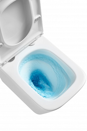 Подвесной унитаз безободковый Terminus Ватикан Monolit 490х340 белый Новоалтайск - фото 8 Подвесной унитаз безободковый Terminus Ватикан Monolit 490х340 белый Новоалтайск - фото 8