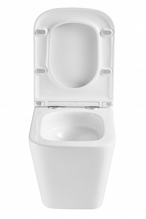 Подвесной унитаз безободковый Terminus Ватикан Monolit 490х340 белый Новоалтайск - фото 7 Подвесной унитаз безободковый Terminus Ватикан Monolit 490х340 белый Новоалтайск - фото 7