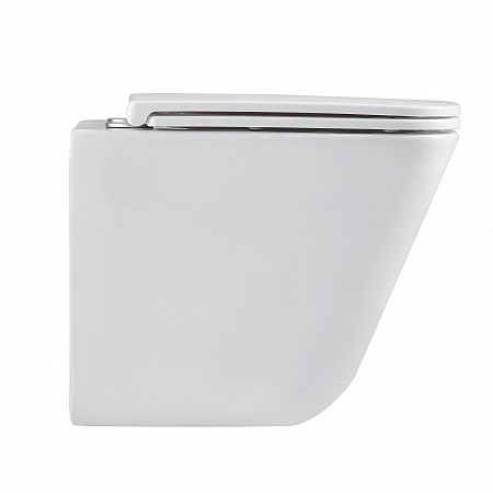 Подвесной унитаз безободковый Terminus Ватикан Monolit 490х340 белый Новоалтайск - фото 4 Подвесной унитаз безободковый Terminus Ватикан Monolit 490х340 белый Новоалтайск - фото 4