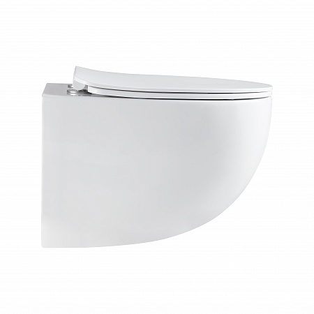 Подвесной унитаз безободковый Terminus Енисей Monolit 560х390 белый Новоалтайск - фото 4 Подвесной унитаз безободковый Terminus Енисей Monolit 560х390 белый Новоалтайск - фото 4