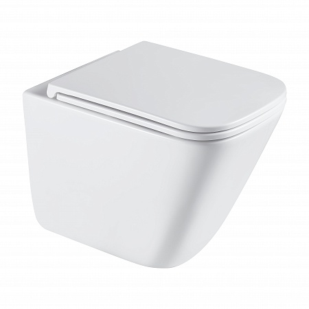 Подвесной унитаз безободковый Terminus Ватикан Monolit 490х340 белый Новоалтайск - фото 2 Подвесной унитаз безободковый Terminus Ватикан Monolit 490х340 белый Новоалтайск - фото 2