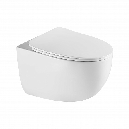 Подвесной унитаз безободковый Terminus Енисей Monolit 560х390 белый Новоалтайск - фото 2 Подвесной унитаз безободковый Terminus Енисей Monolit 560х390 белый Новоалтайск - фото 2