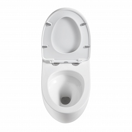 Подвесной унитаз безободковый Terminus Енисей Monolit 560х390 белый Новоалтайск - фото 3 Подвесной унитаз безободковый Terminus Енисей Monolit 560х390 белый Новоалтайск - фото 3