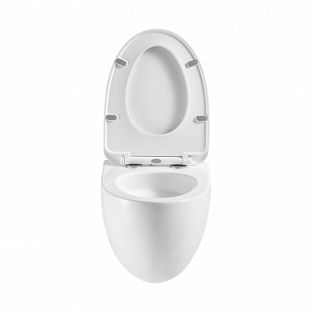 Подвесной унитаз безободковый Terminus Енисей Monolit 560х390 белый Новоалтайск - фото 5 Подвесной унитаз безободковый Terminus Енисей Monolit 560х390 белый Новоалтайск - фото 5