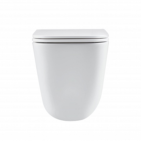 Подвесной унитаз безободковый Terminus Ватикан Monolit 490х340 белый Новоалтайск - фото 6 Подвесной унитаз безободковый Terminus Ватикан Monolit 490х340 белый Новоалтайск - фото 6