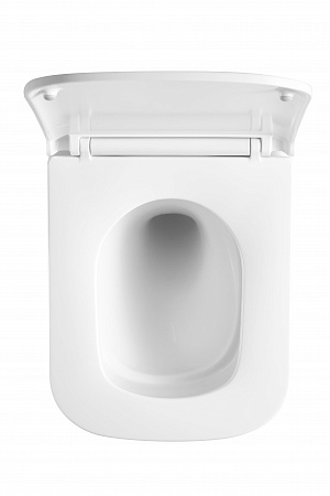 Подвесной унитаз безободковый Terminus Ватикан Monolit 490х340 белый Новоалтайск - фото 3 Подвесной унитаз безободковый Terminus Ватикан Monolit 490х340 белый Новоалтайск - фото 3